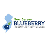 New Jersey Blueberries