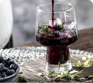 Protocepts & formulation