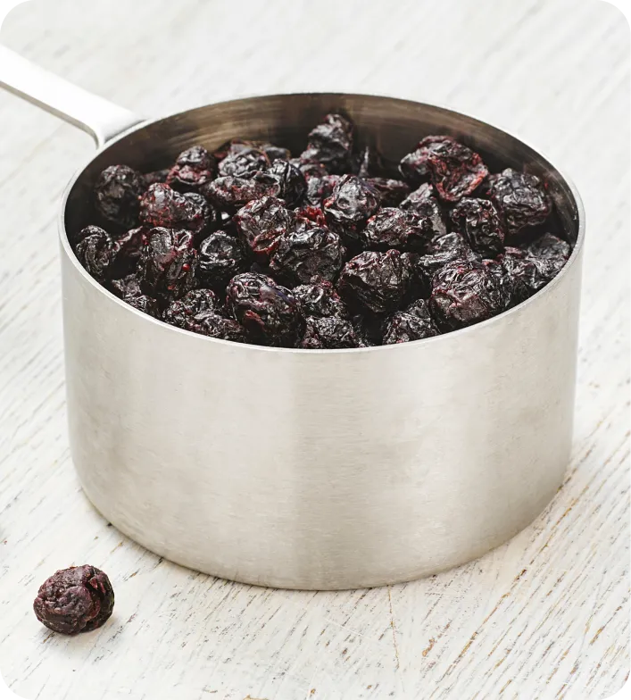 INFUSED-DRIED Blueberries
