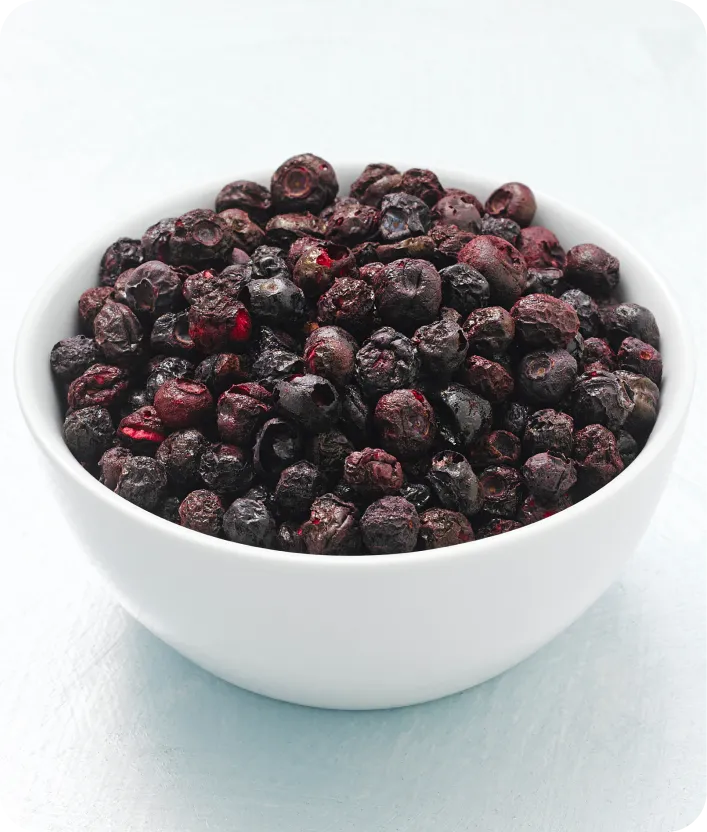 FREEZE-DRIED Blueberries