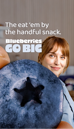 HANDFUL SNACK