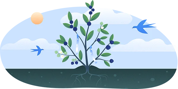 blueberry bush clip art