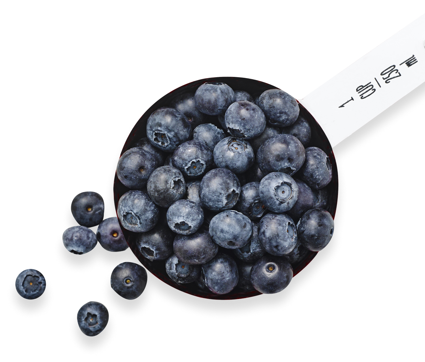 Ingredient Pairings - Blueberry.org