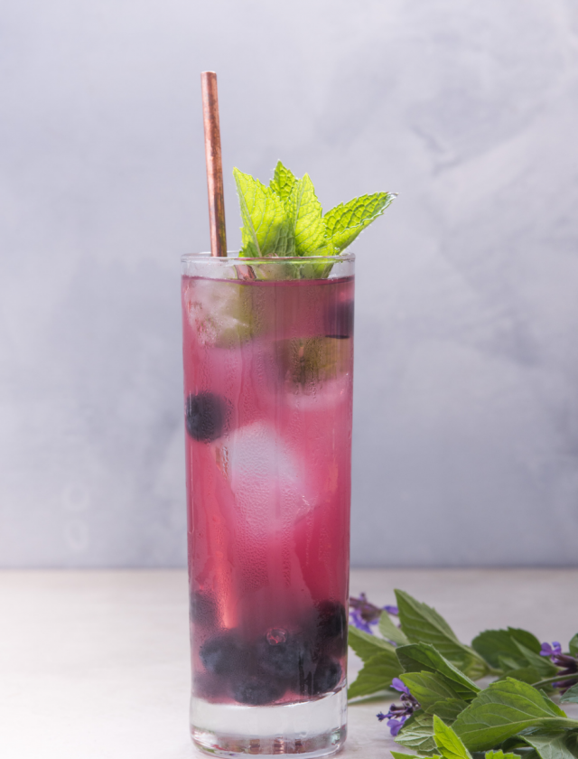 Blueberry Mint Soda
