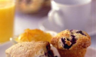 Blueberry Mini-Muffins