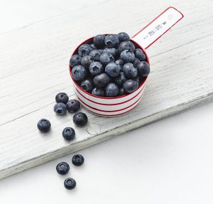 https://blueberry.org/wp-content/uploads/2021/04/FourthOfJuly_Blueberries_003-scaled-300x287.jpg