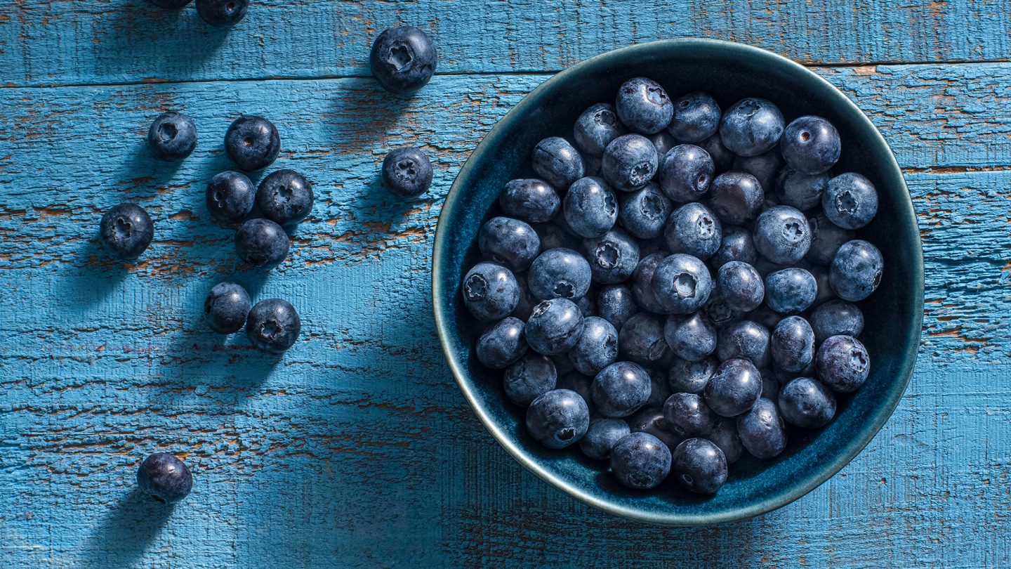 planting-blueberries-blueberry