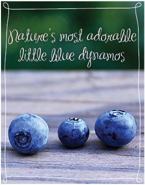 Meme - Natures little blue dynamos - 02-195