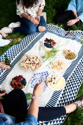 Blueberry picnic