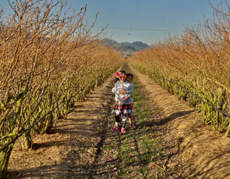 After the Fraser Farm is mulched, his daughters play in the fields