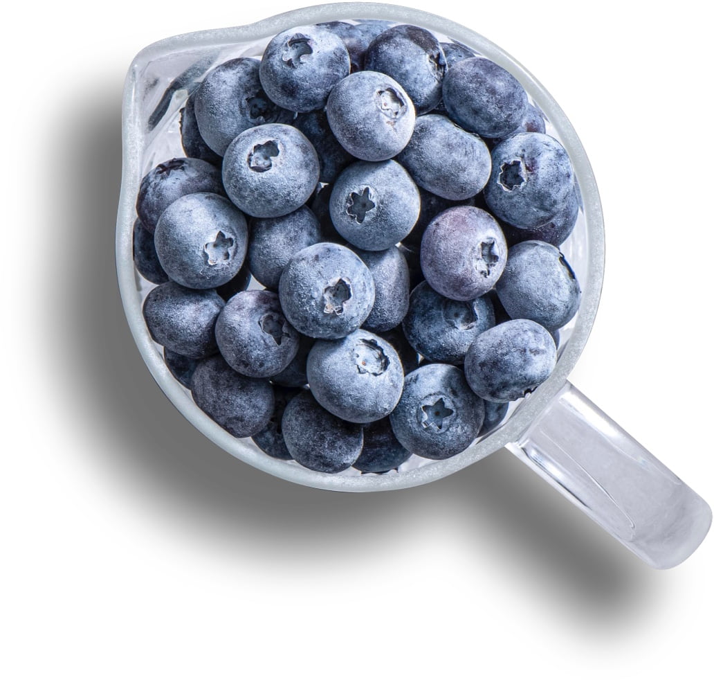 Measuring cup filled with blueberries