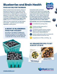 Blueberry.org brain health resource for download