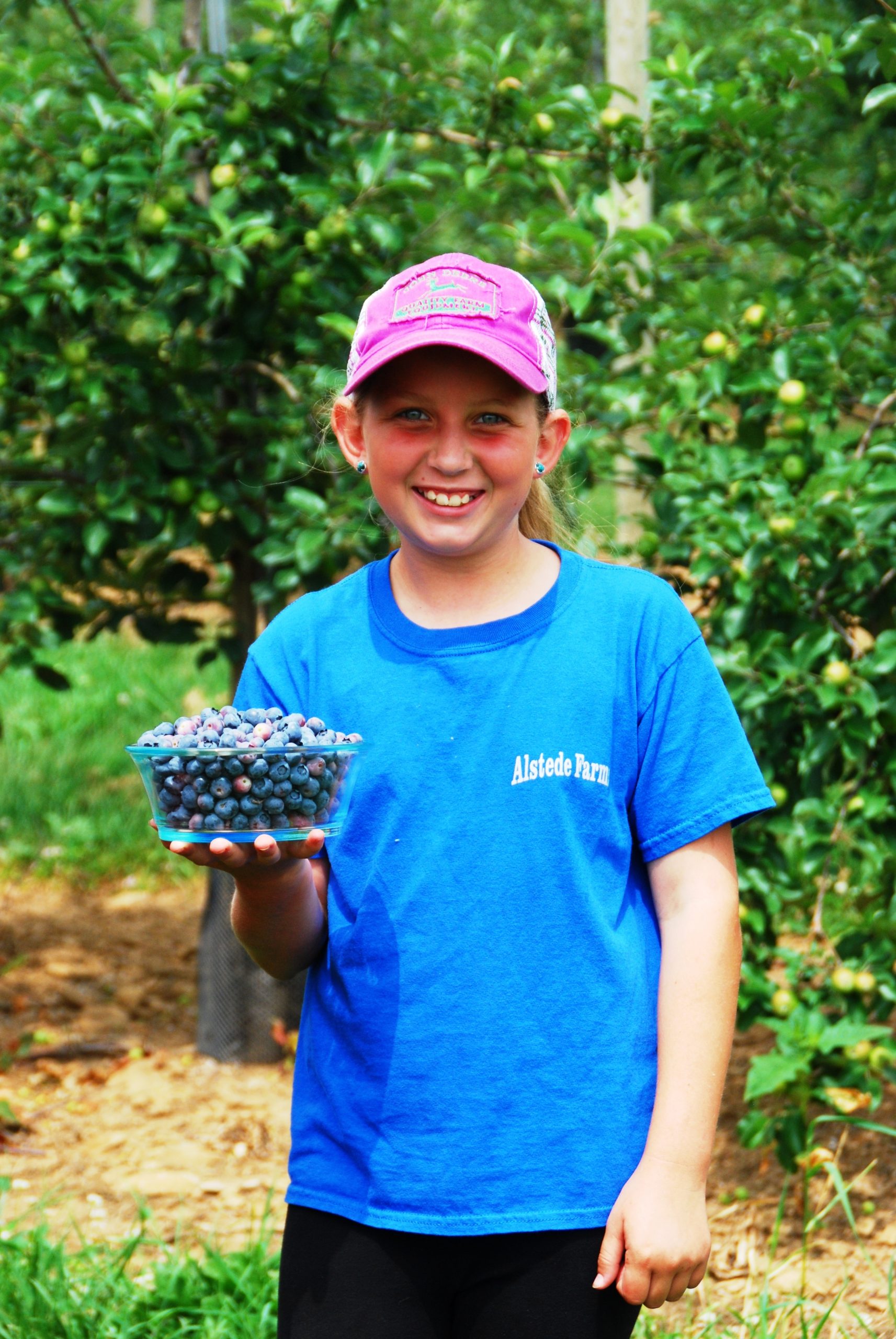 Blueberry Festival - for blog post