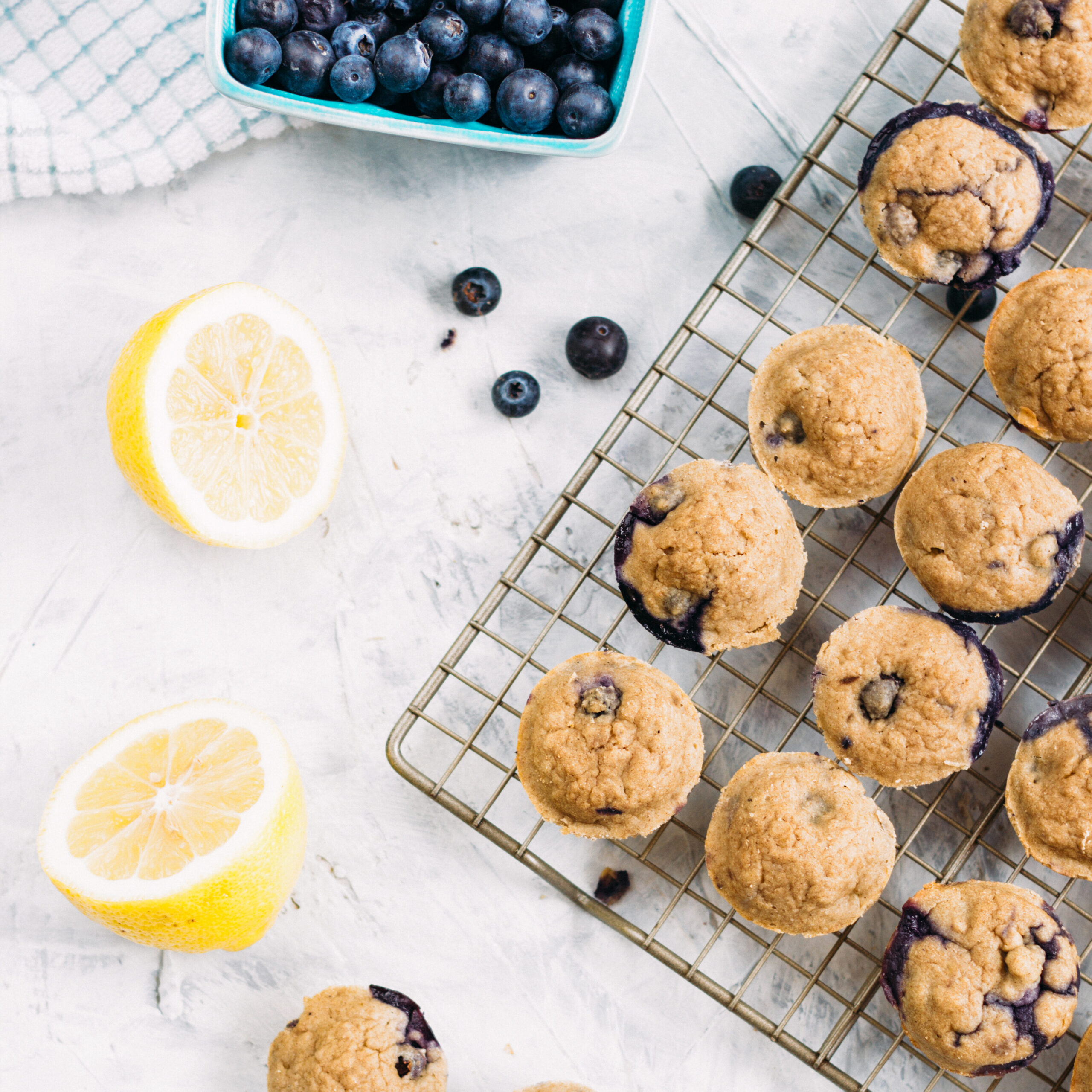 Blueberry Lemon Mini Muffins