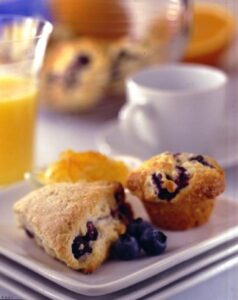 Blueberry Mini-Muffins