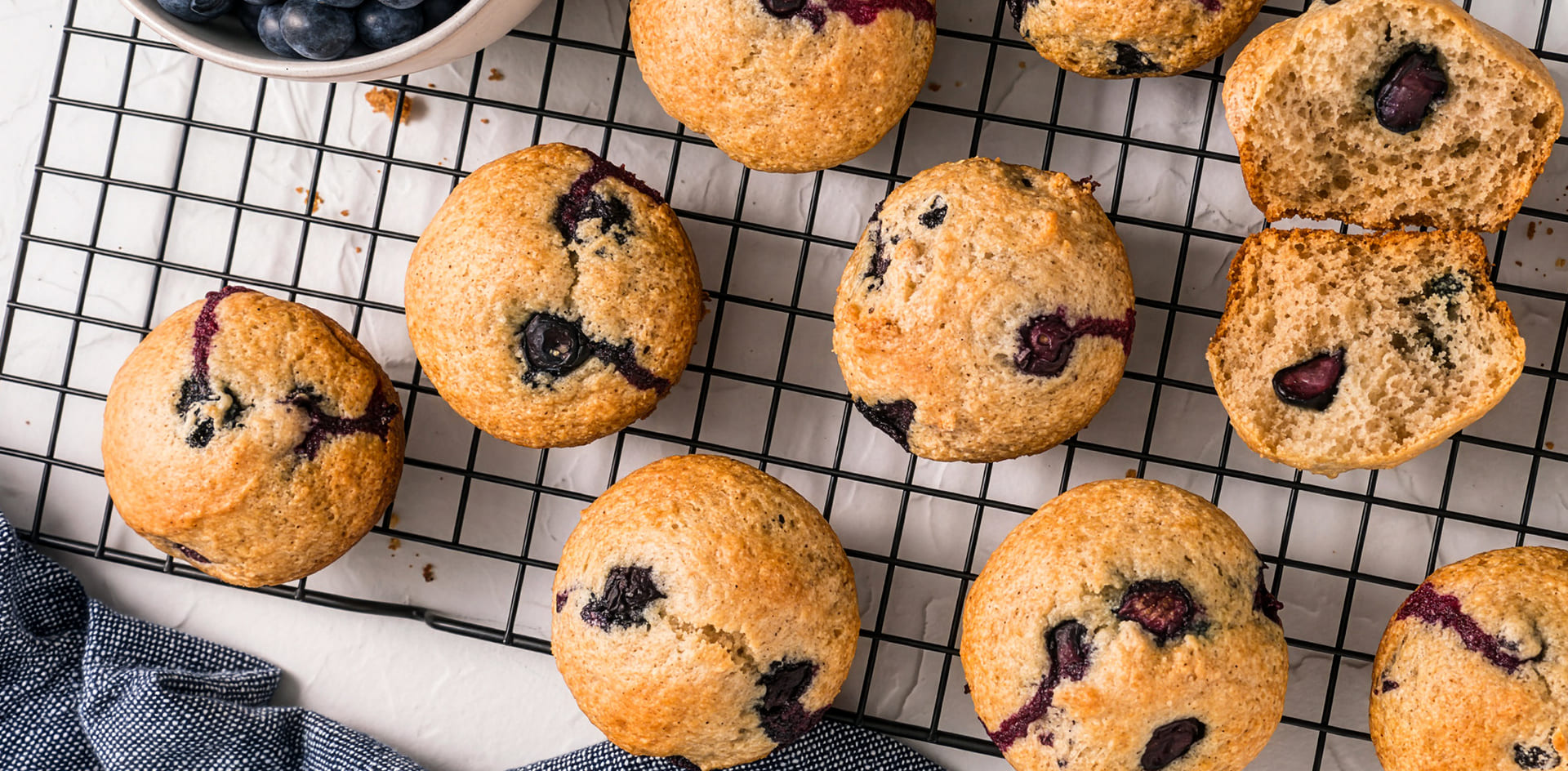 Blueberry Muffin