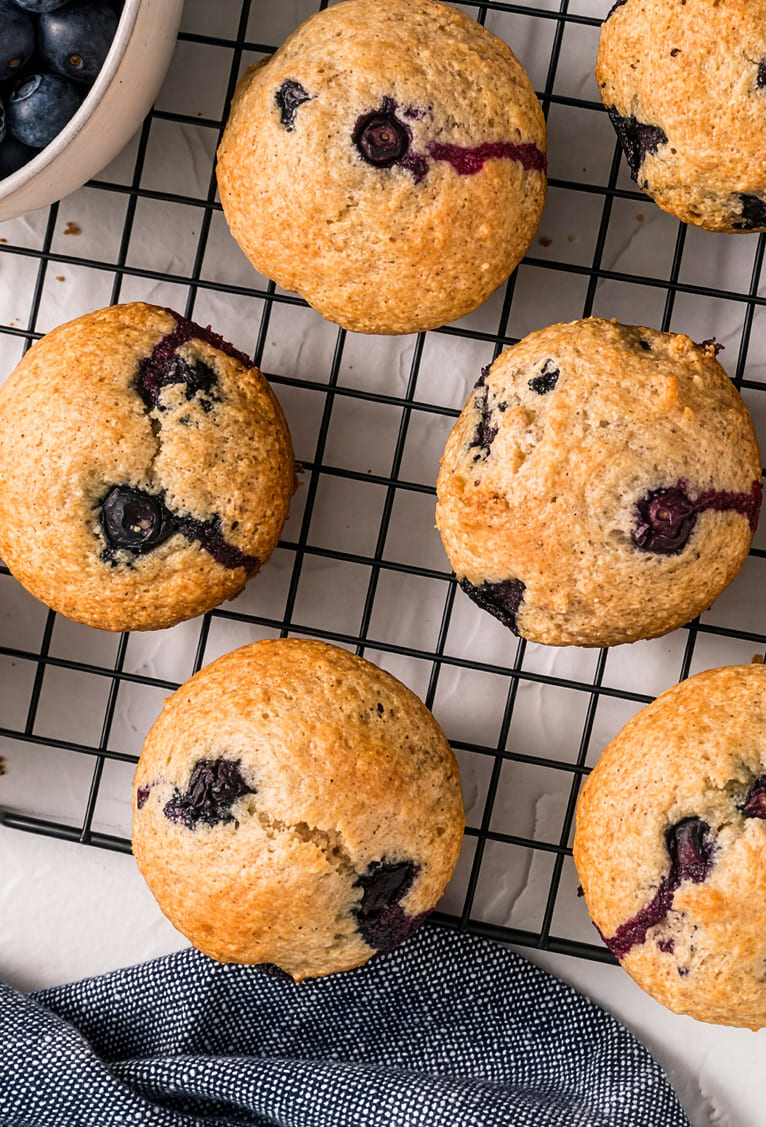 Blueberry Muffin